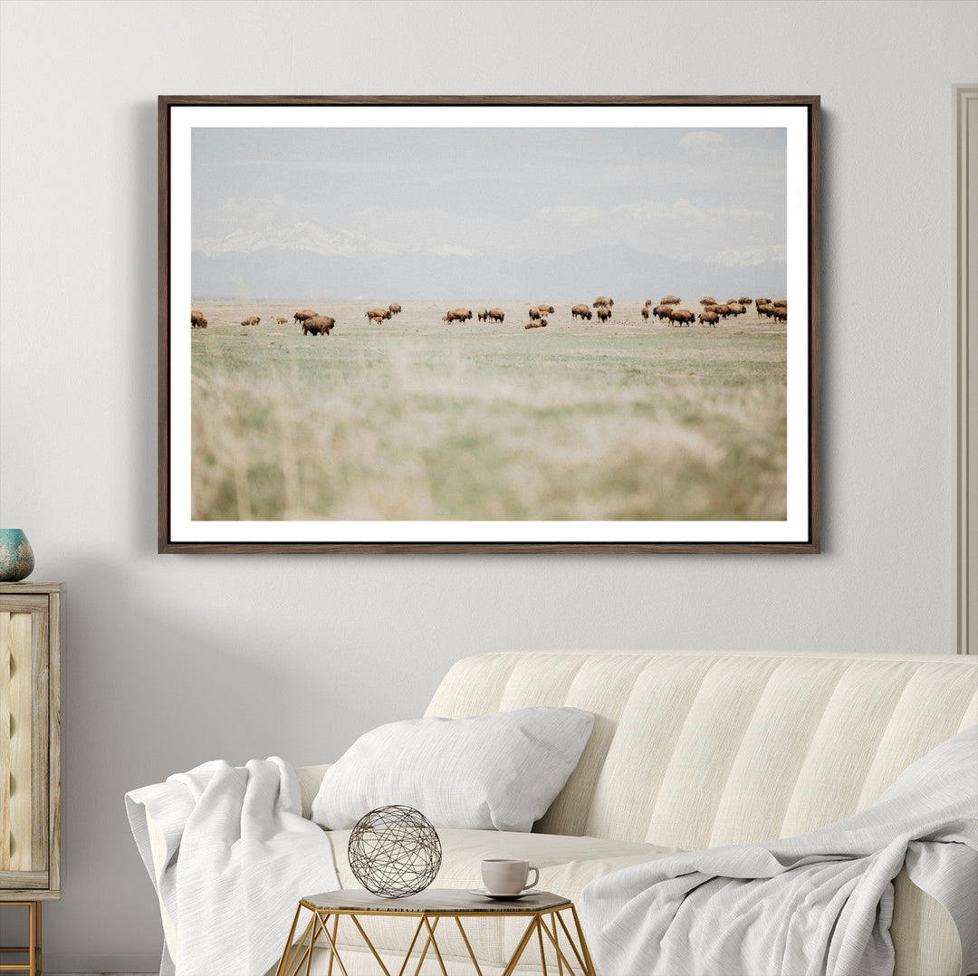 Bison Herd Wall Art Canvas Print, Framed Western Art Picture Print, Bison Perfect Ranch Decor Artwork