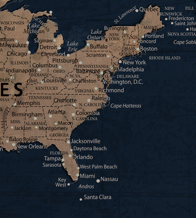 12015888-MGV-CV-36X24 - Blue Custom USA Push Pin Travel Map Canvas for Trip Tracker
