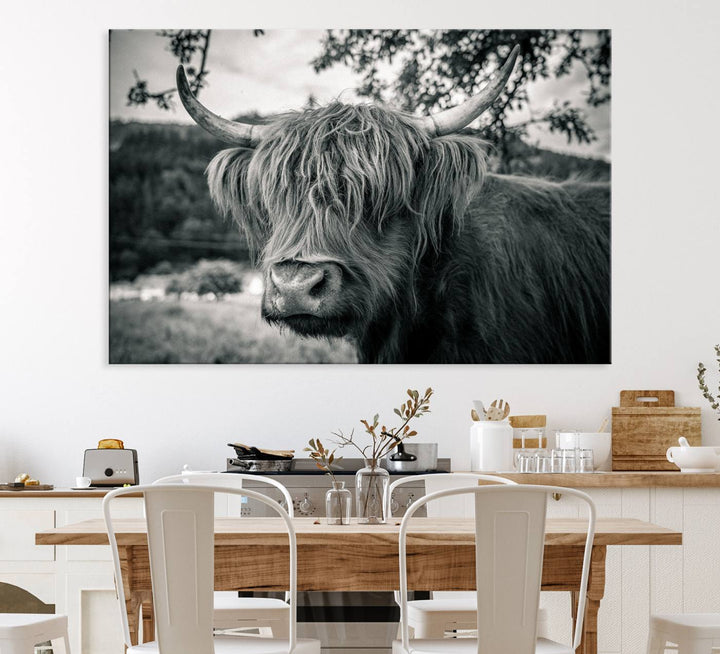 Highland Cow Wall Art Canvas Print Scottish Cattle Canvas Art