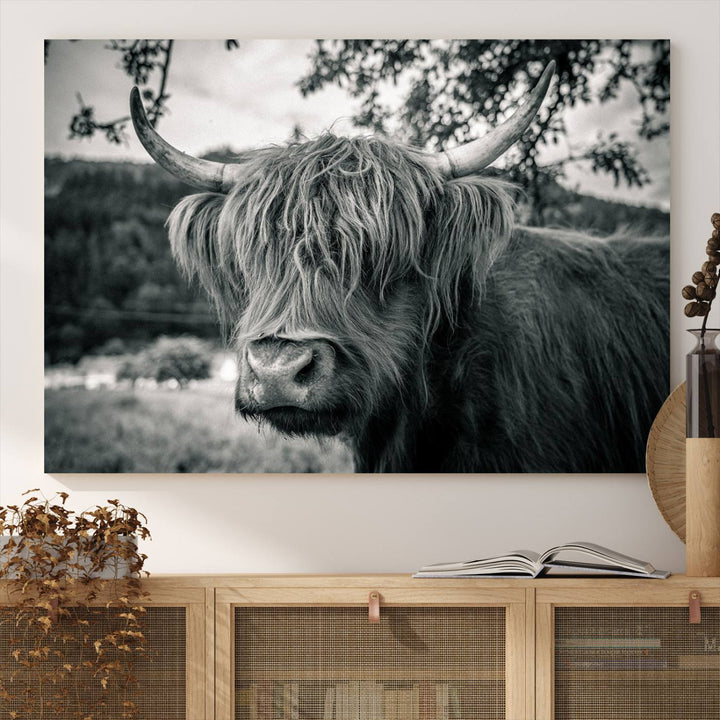 Highland Cow Wall Art Canvas Print Scottish Cattle Canvas Art