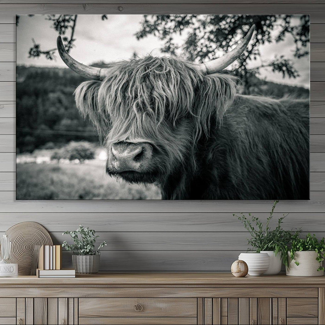 Highland Cow Wall Art Canvas Print Scottish Cattle Canvas Art