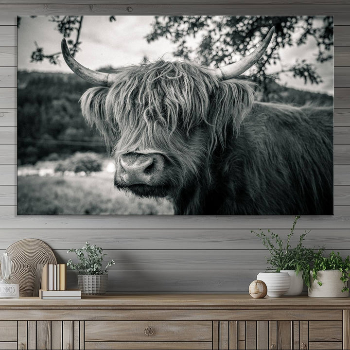 Highland Cow Wall Art Canvas Print Scottish Cattle Canvas Art
