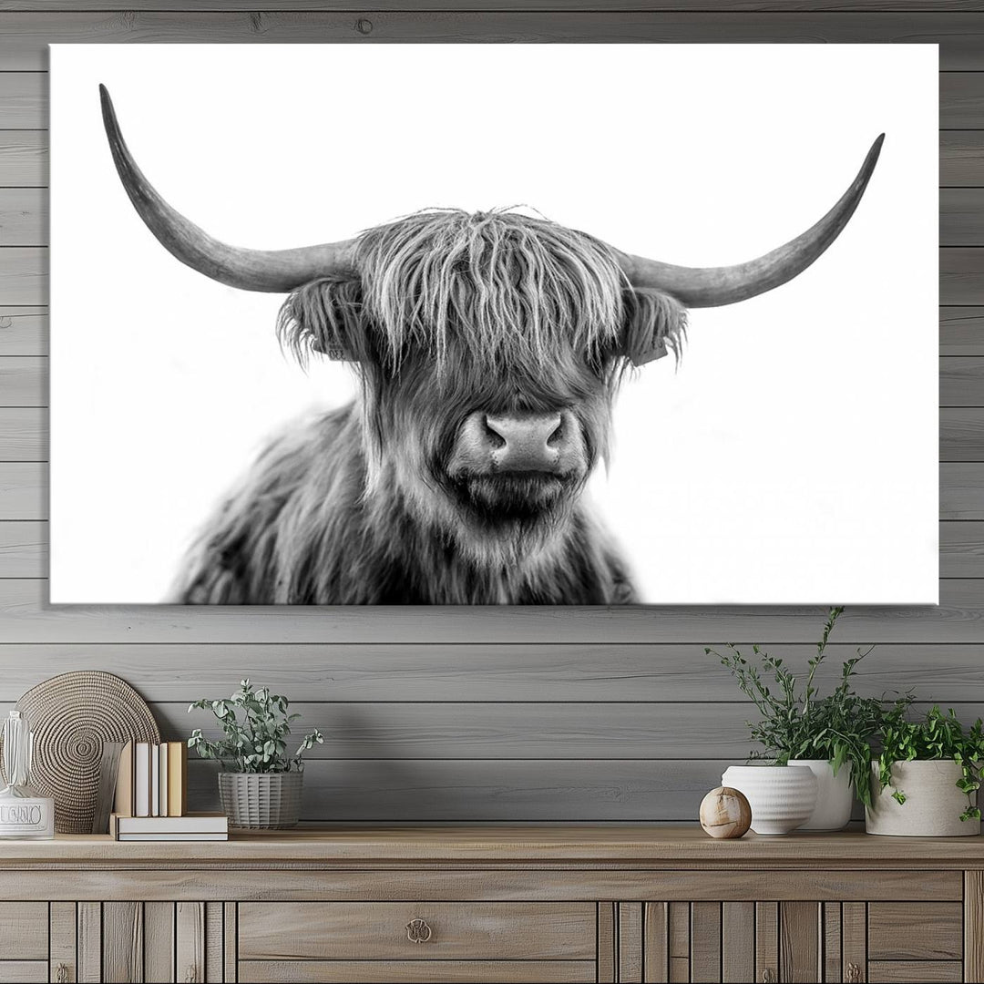 Scottish Highland Cow Cattle Art Print Wall Art Canvas Print for Farmhouse Decor, Framed Scottish Highland Cow Canvas