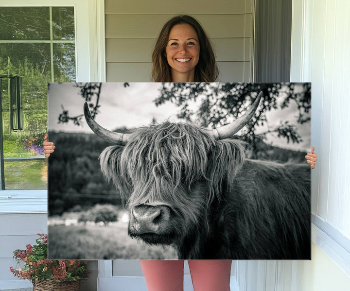 Highland Cow Wall Art Canvas Print Scottish Cattle Canvas Art