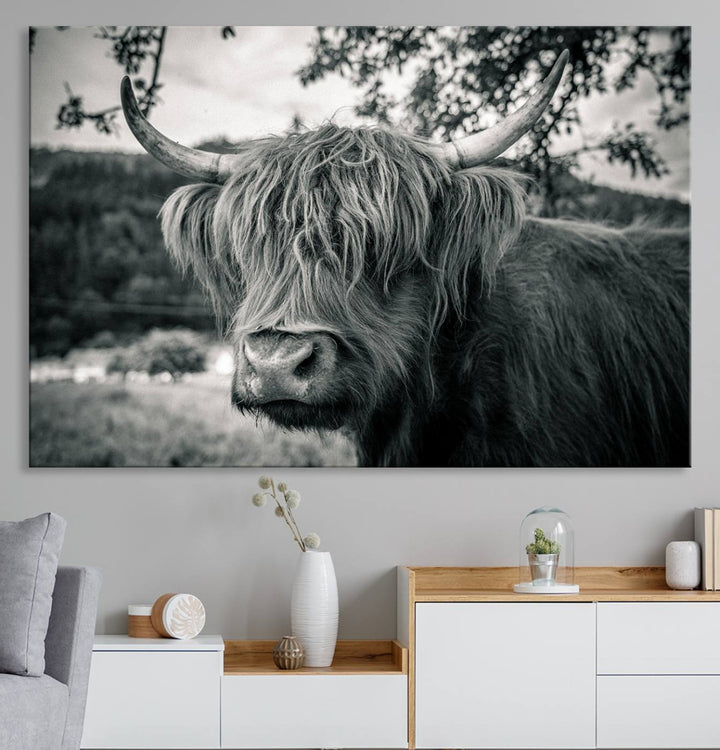Highland Cow Wall Art Canvas Print Scottish Cattle Canvas Art