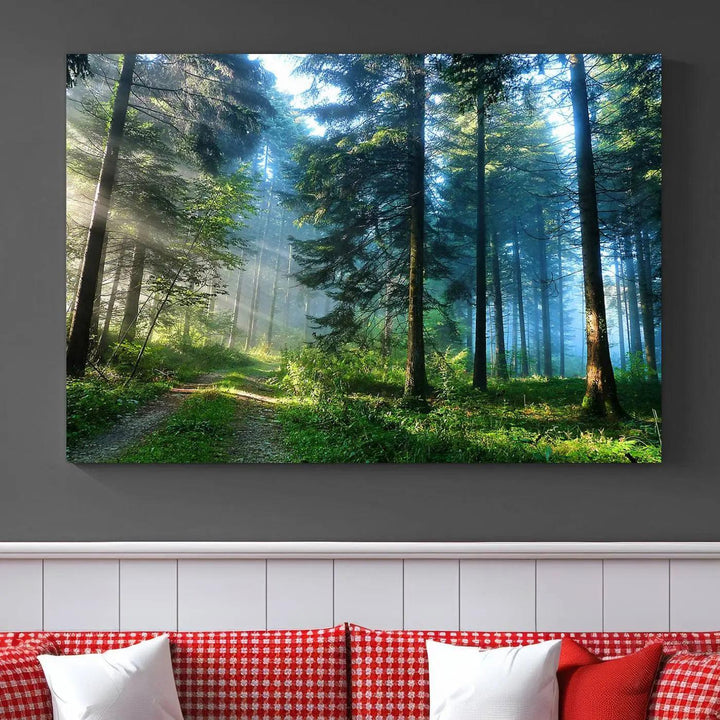 Beautiful Forest Photograph on Original Canvas Wall Art Framed Nature Print