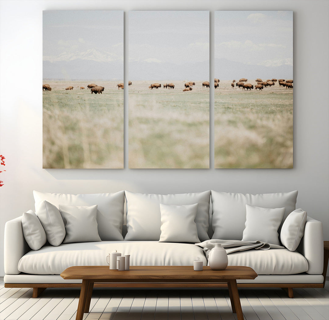 Bison Herd Wall Art Canvas Print, Framed Western Art Picture Print, Bison Perfect Ranch Decor Artwork