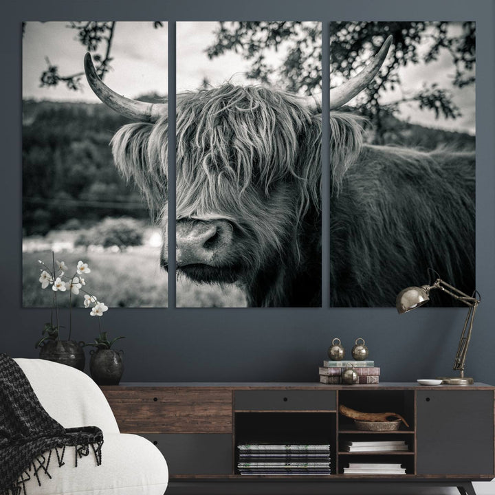 Highland Cow Wall Art Canvas Print Scottish Cattle Canvas Art