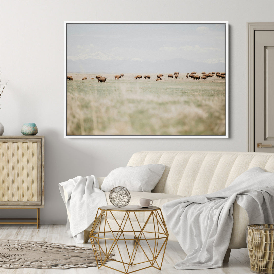 Bison Herd Wall Art Canvas Print, Framed Western Art Picture Print, Bison Perfect Ranch Decor Artwork