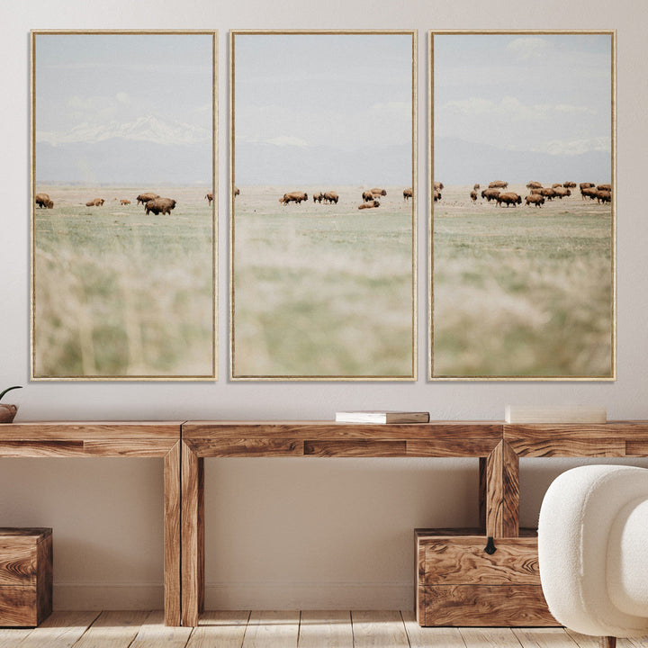 Bison Herd Wall Art Canvas Print, Framed Western Art Picture Print, Bison Perfect Ranch Decor Artwork