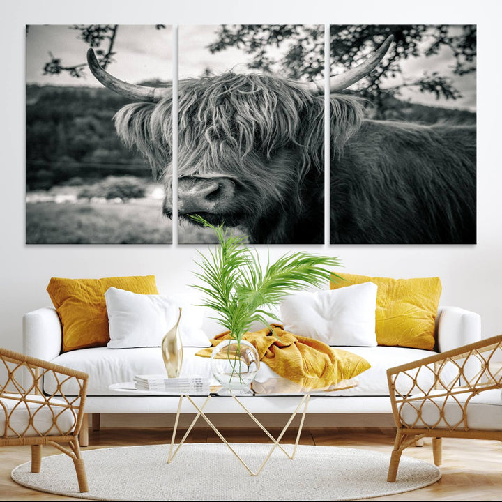 Highland Cow Wall Art Canvas Print Scottish Cattle Canvas Art