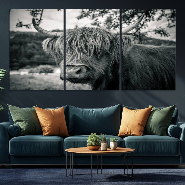 Highland Cow Wall Art Canvas Print Scottish Cattle Canvas Art