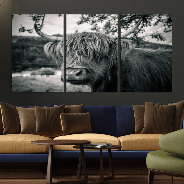 Highland Cow Wall Art Canvas Print Scottish Cattle Canvas Art