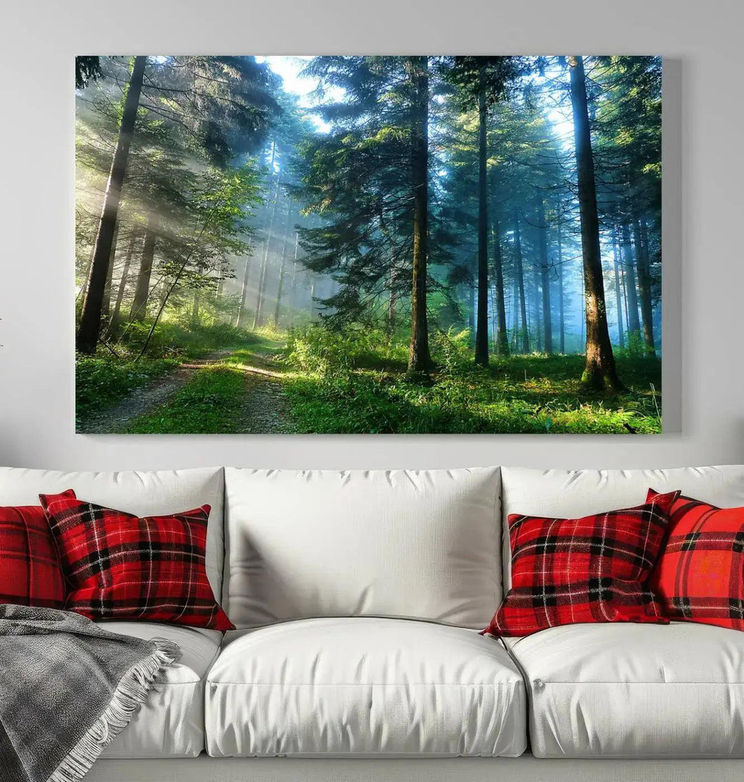 Beautiful Forest Photograph on Original Canvas Wall Art Framed Nature Print