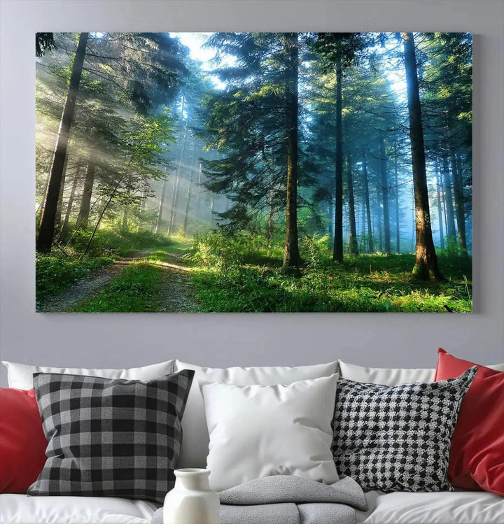 Beautiful Forest Photograph on Original Canvas Wall Art Framed Nature Print