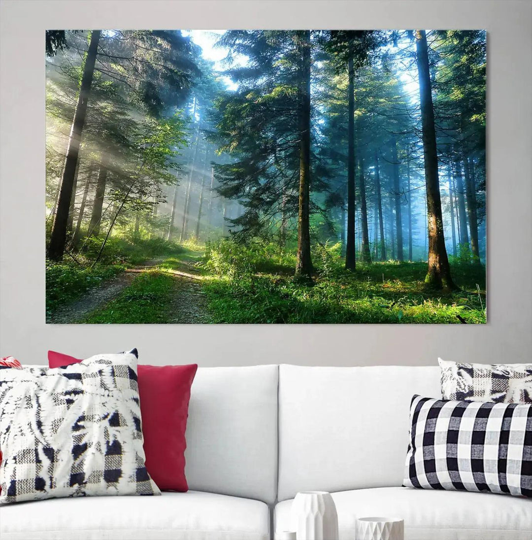 Beautiful Forest Photograph on Original Canvas Wall Art Framed Nature Print