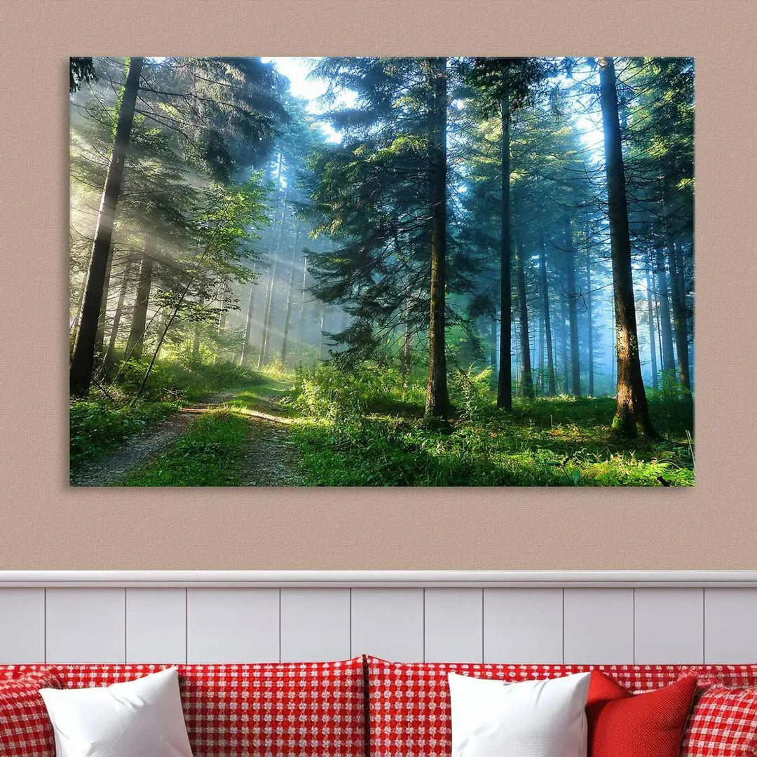 Beautiful Forest Photograph on Original Canvas Wall Art Framed Nature Print