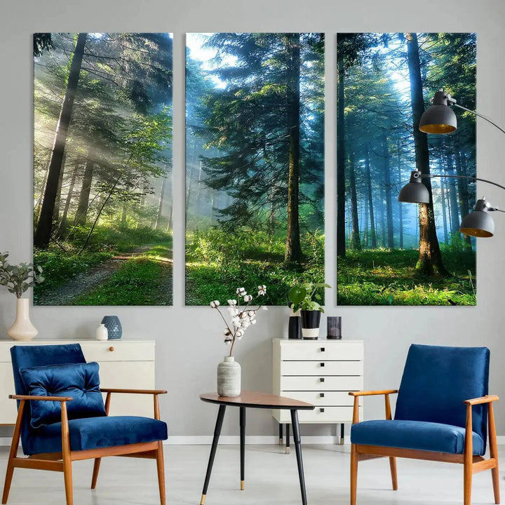 Beautiful Forest Photograph on Original Canvas Wall Art Framed Nature Print