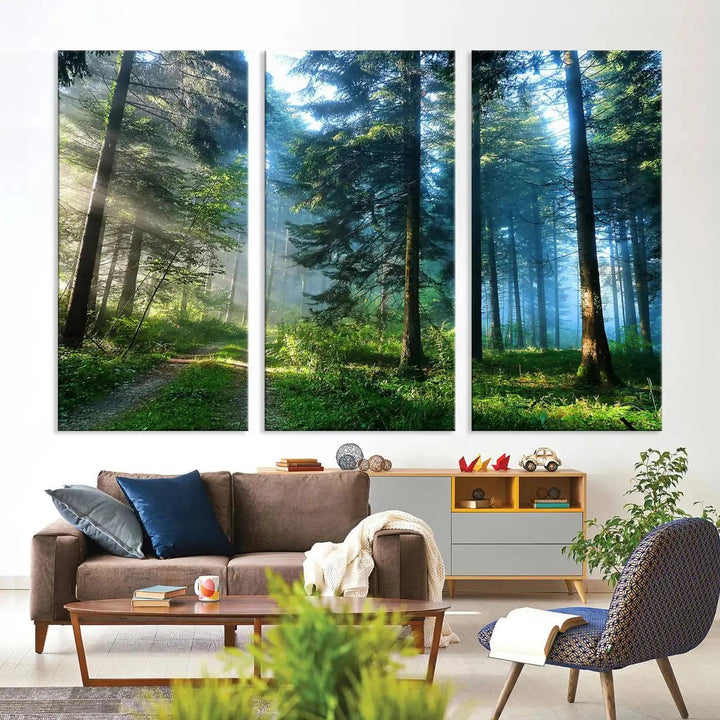 Beautiful Forest Photograph on Original Canvas Wall Art Framed Nature Print