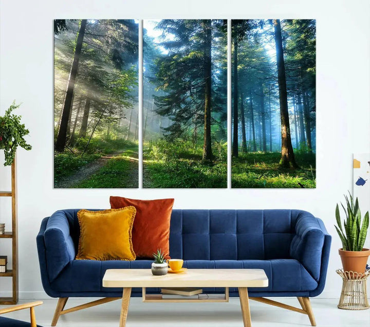 Beautiful Forest Photograph on Original Canvas Wall Art Framed Nature Print