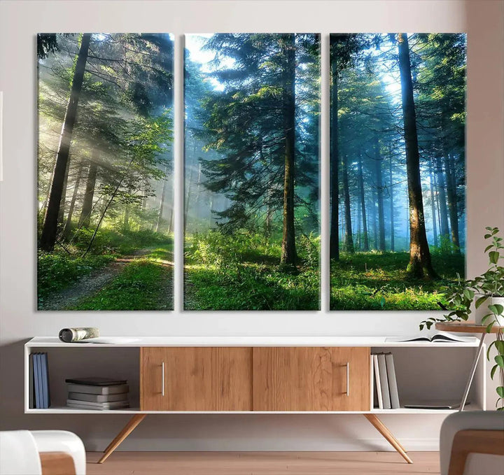 Beautiful Forest Photograph on Original Canvas Wall Art Framed Nature Print