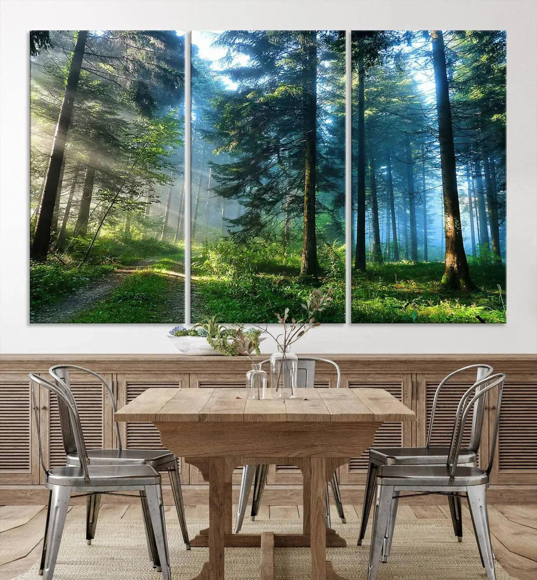 Beautiful Forest Photograph on Original Canvas Wall Art Framed Nature Print