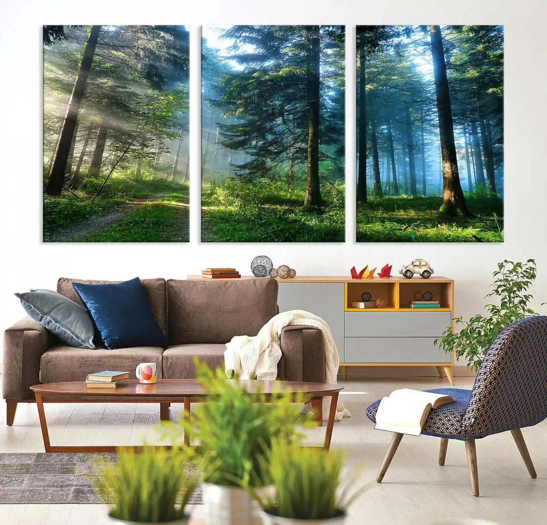 Beautiful Forest Photograph on Original Canvas Wall Art Framed Nature Print