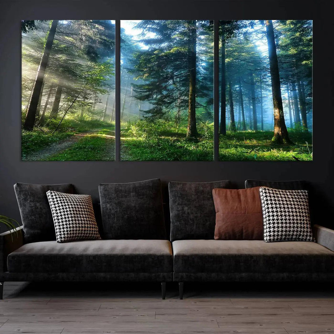 Beautiful Forest Photograph on Original Canvas Wall Art Framed Nature Print