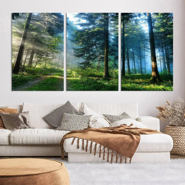 Beautiful Forest Photograph on Original Canvas Wall Art Framed Nature Print