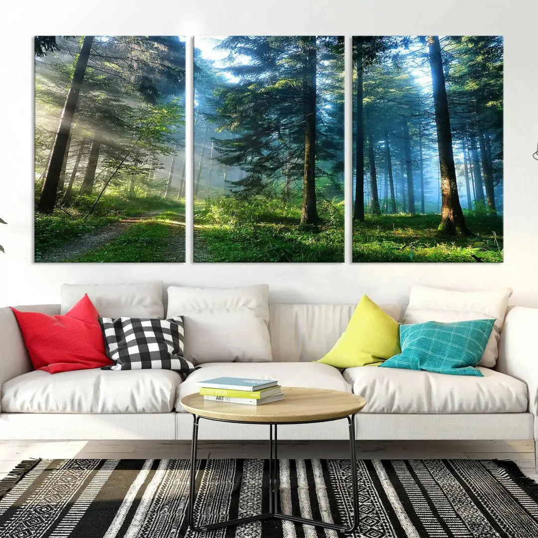 Beautiful Forest Photograph on Original Canvas Wall Art Framed Nature Print