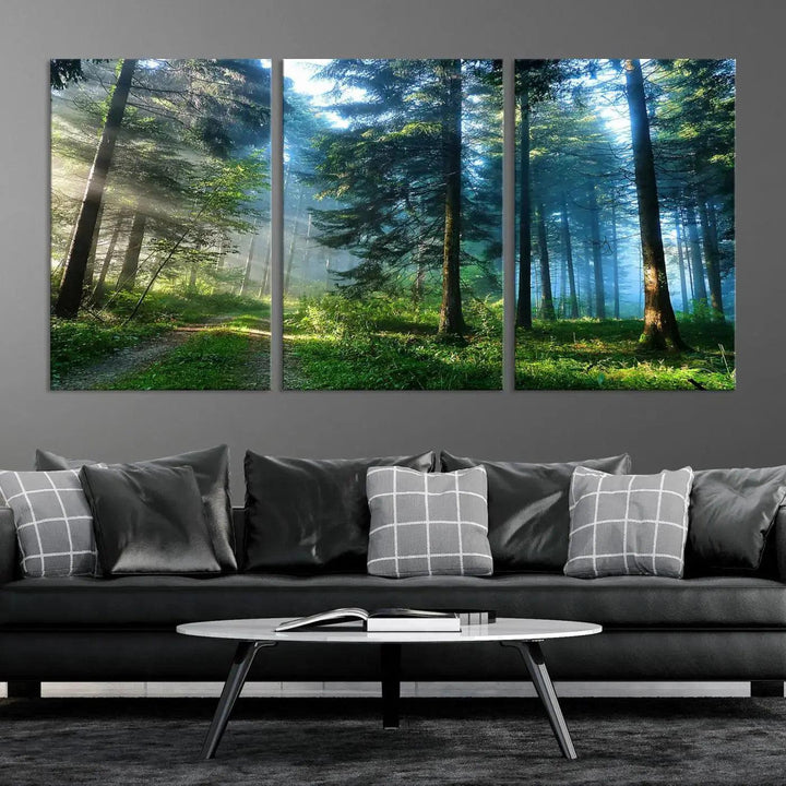 Beautiful Forest Photograph on Original Canvas Wall Art Framed Nature Print