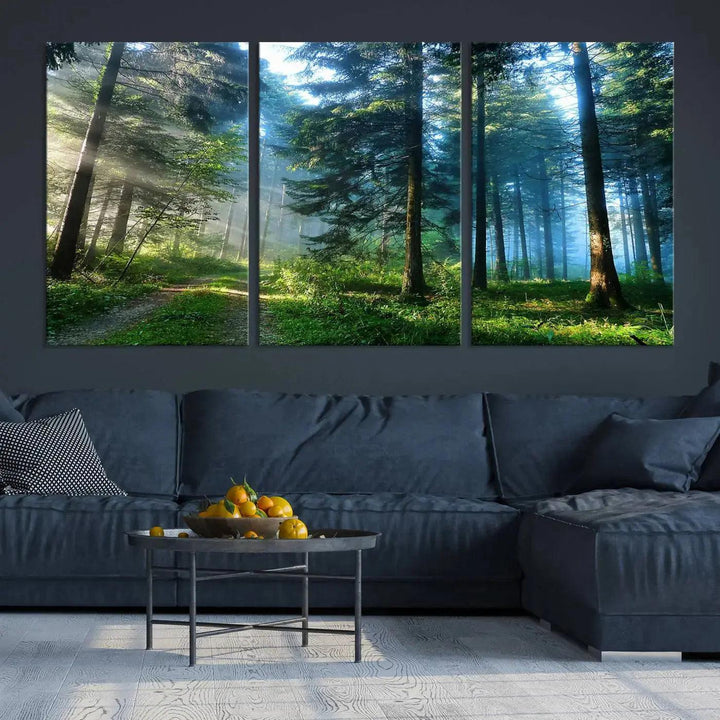 Beautiful Forest Photograph on Original Canvas Wall Art Framed Nature Print