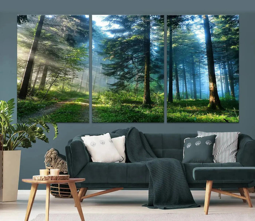 Beautiful Forest Photograph on Original Canvas Wall Art Framed Nature Print