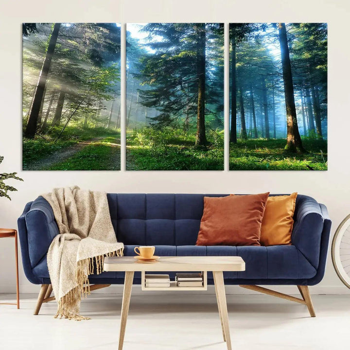 Beautiful Forest Photograph on Original Canvas Wall Art Framed Nature Print