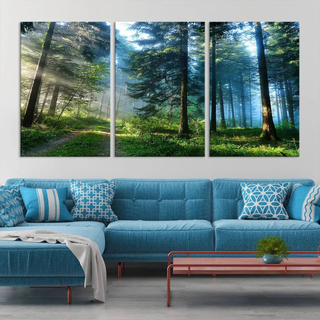 Beautiful Forest Photograph on Original Canvas Wall Art Framed Nature Print