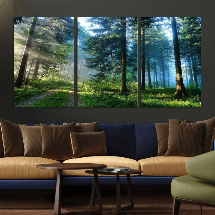 Beautiful Forest Photograph on Original Canvas Wall Art Framed Nature Print