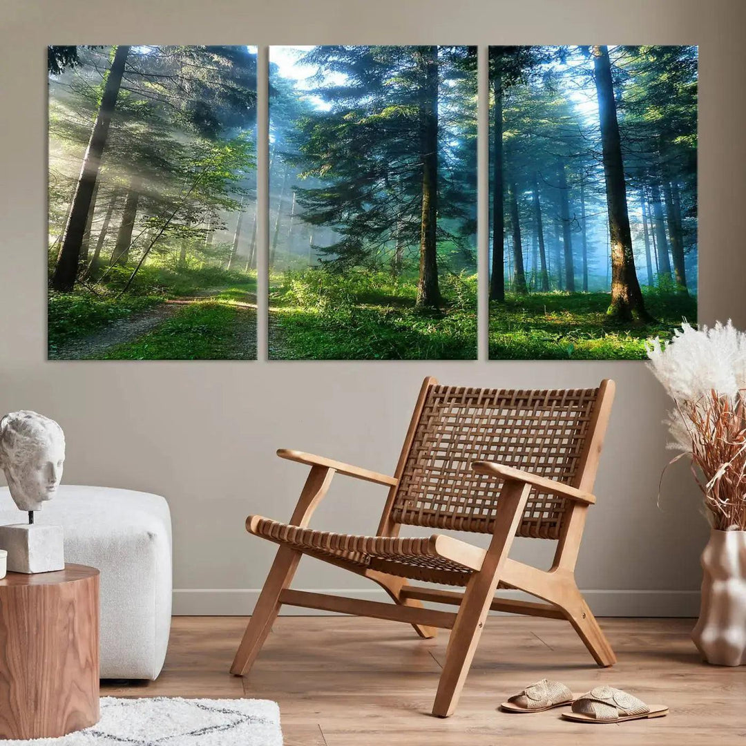 Beautiful Forest Photograph on Original Canvas Wall Art Framed Nature Print