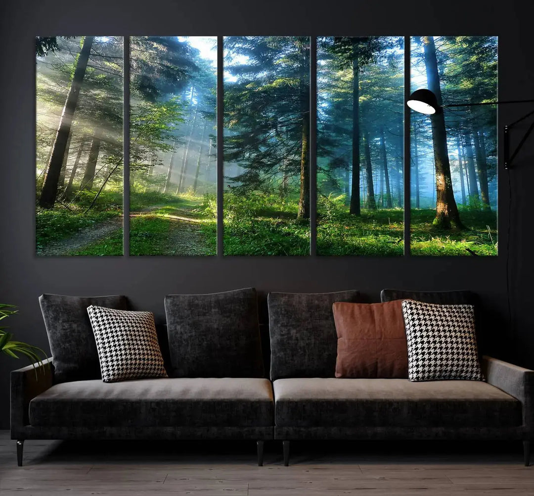 Beautiful Forest Photograph on Original Canvas Wall Art Framed Nature Print