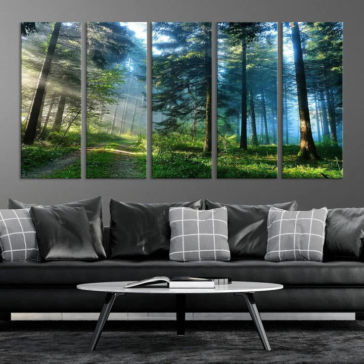 Beautiful Forest Photograph on Original Canvas Wall Art Framed Nature Print