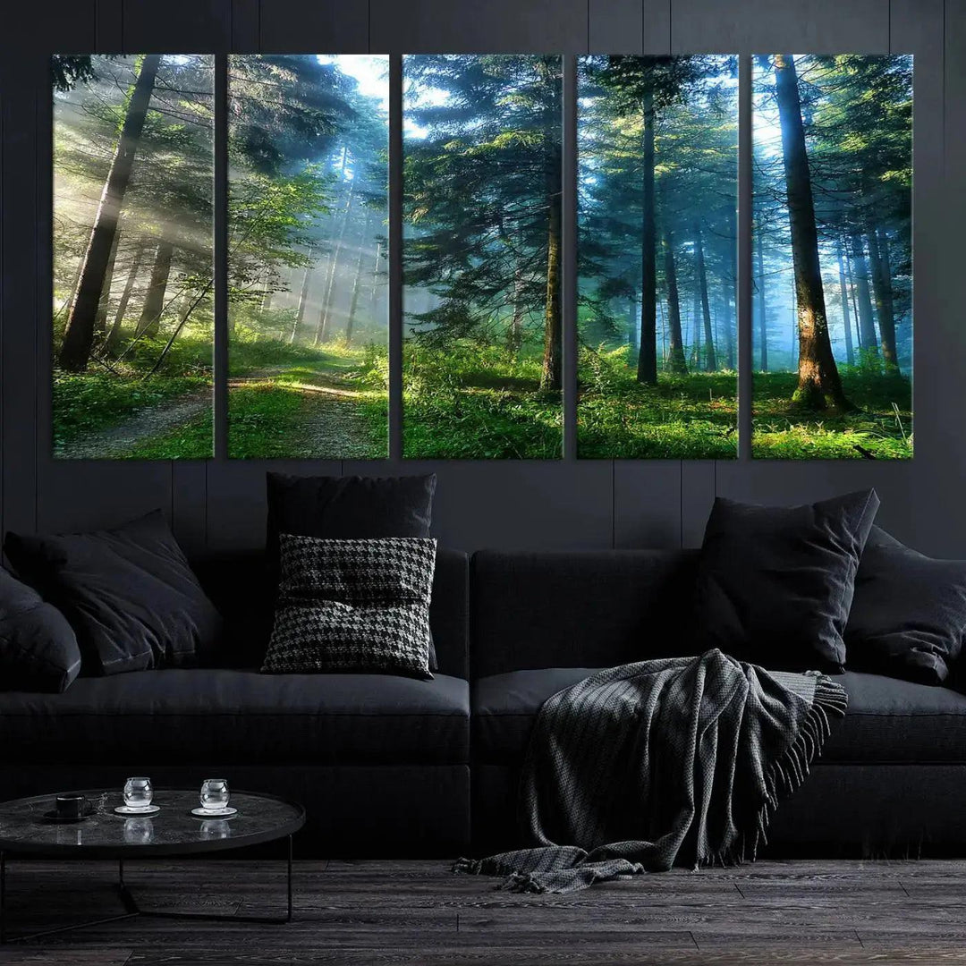 Beautiful Forest Photograph on Original Canvas Wall Art Framed Nature Print