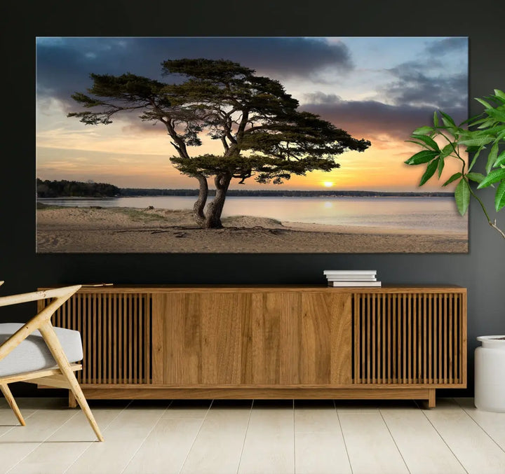 Big Tree Beach Coastal Sunset Wall Art Canvas Print Framed