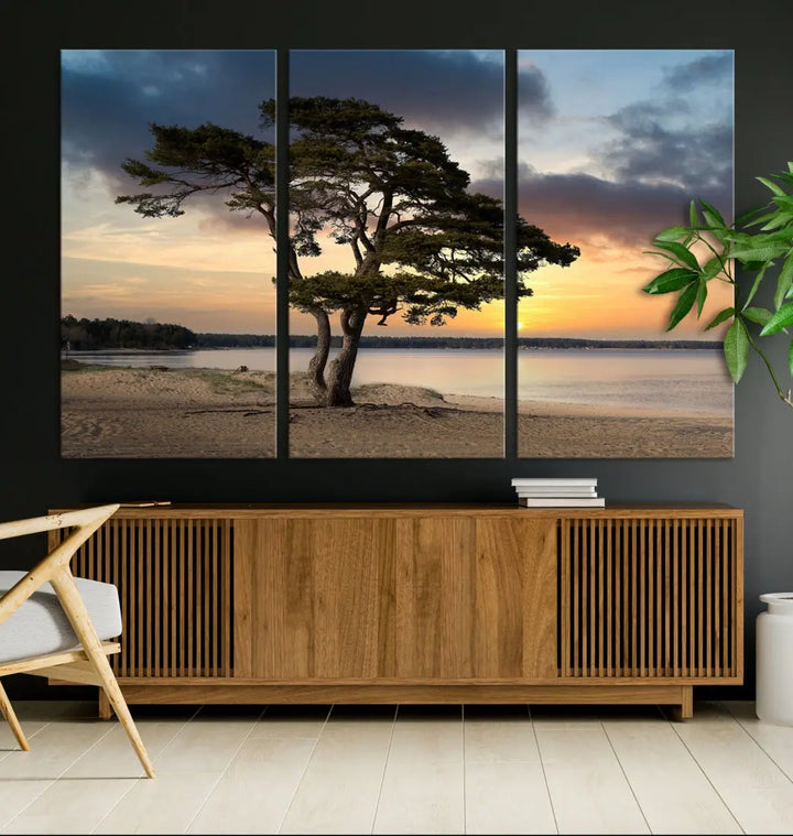 Big Tree Beach Coastal Sunset Wall Art Canvas Print Framed