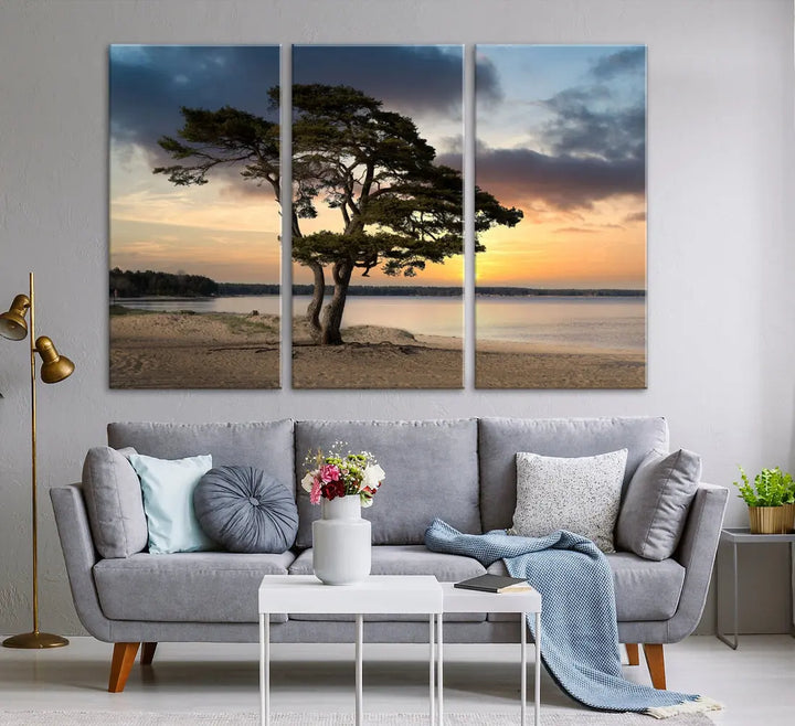 Big Tree Beach Coastal Sunset Wall Art Canvas Print Framed