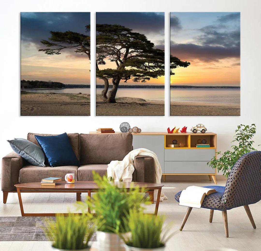 Big Tree Beach Coastal Sunset Wall Art Canvas Print Framed