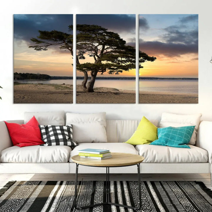 Big Tree Beach Coastal Sunset Wall Art Canvas Print Framed