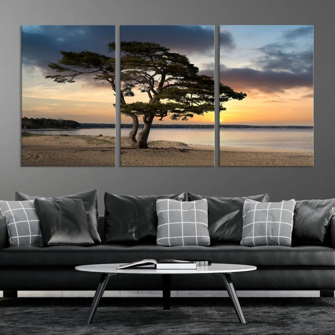 Big Tree Beach Coastal Sunset Wall Art Canvas Print Framed