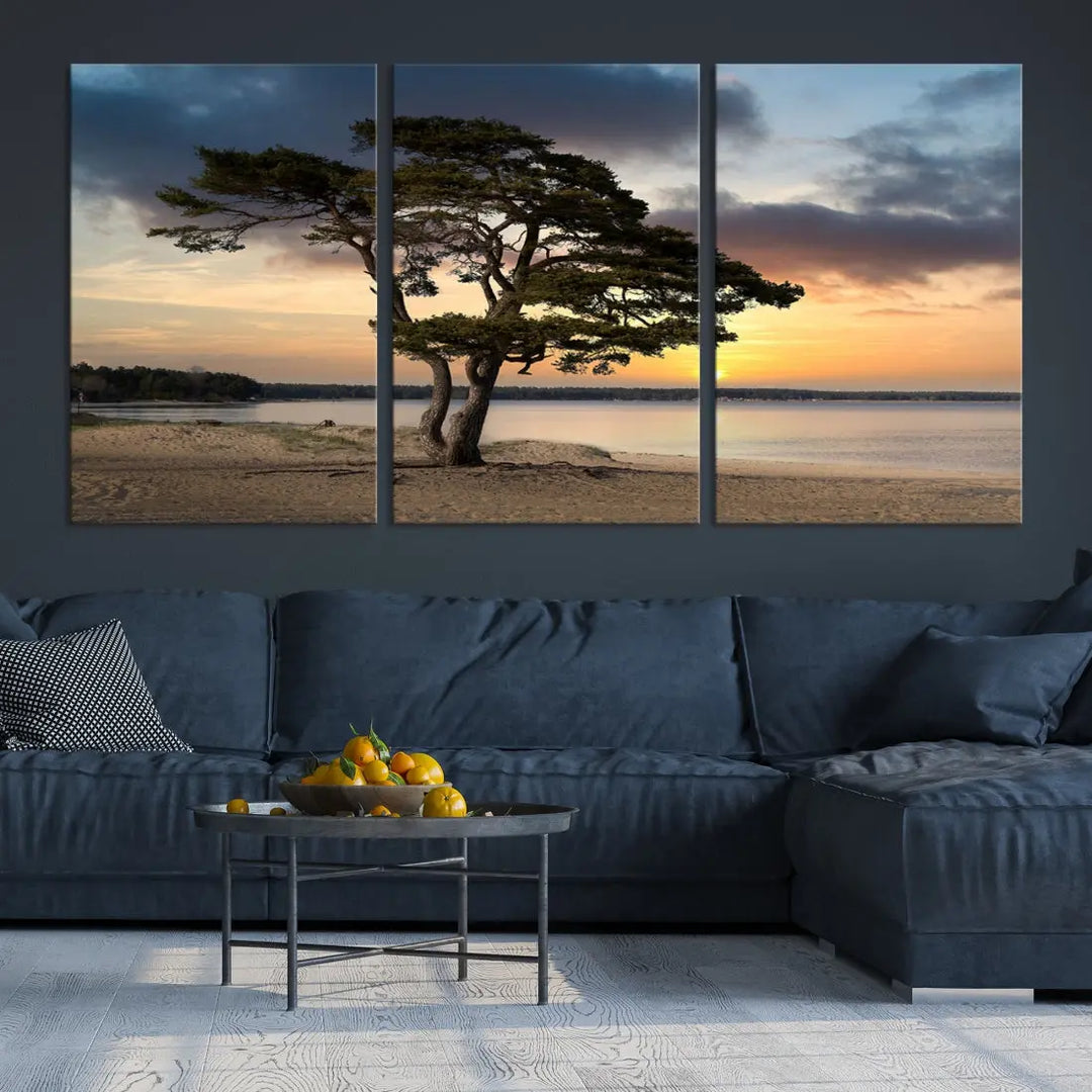 Big Tree Beach Coastal Sunset Wall Art Canvas Print Framed