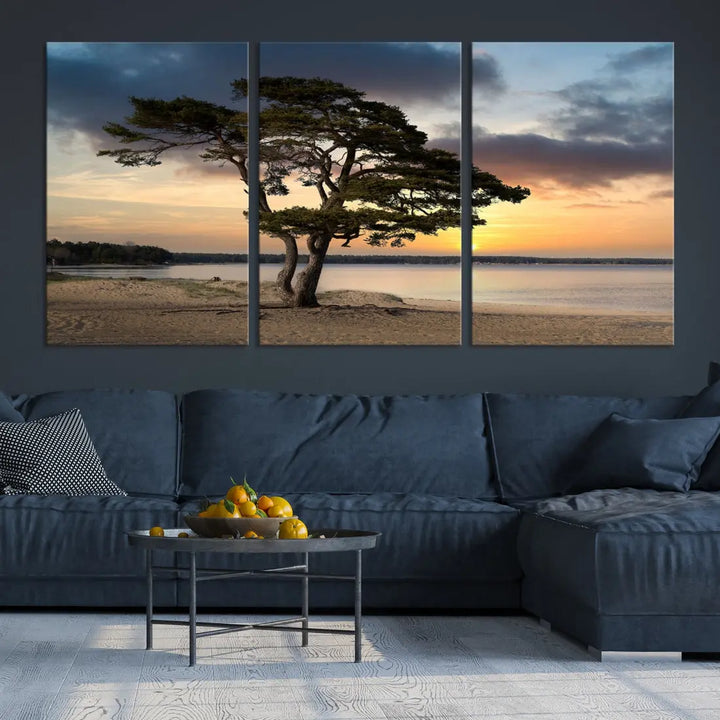 Big Tree Beach Coastal Sunset Wall Art Canvas Print Framed