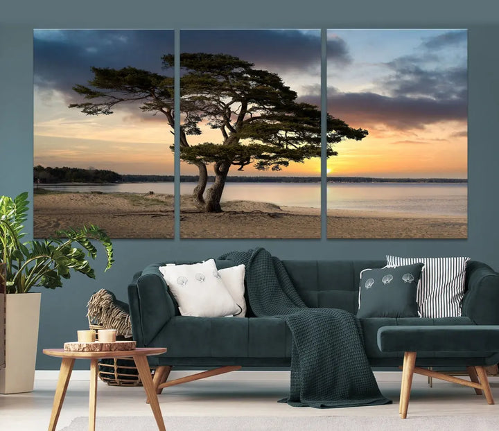 Big Tree Beach Coastal Sunset Wall Art Canvas Print Framed