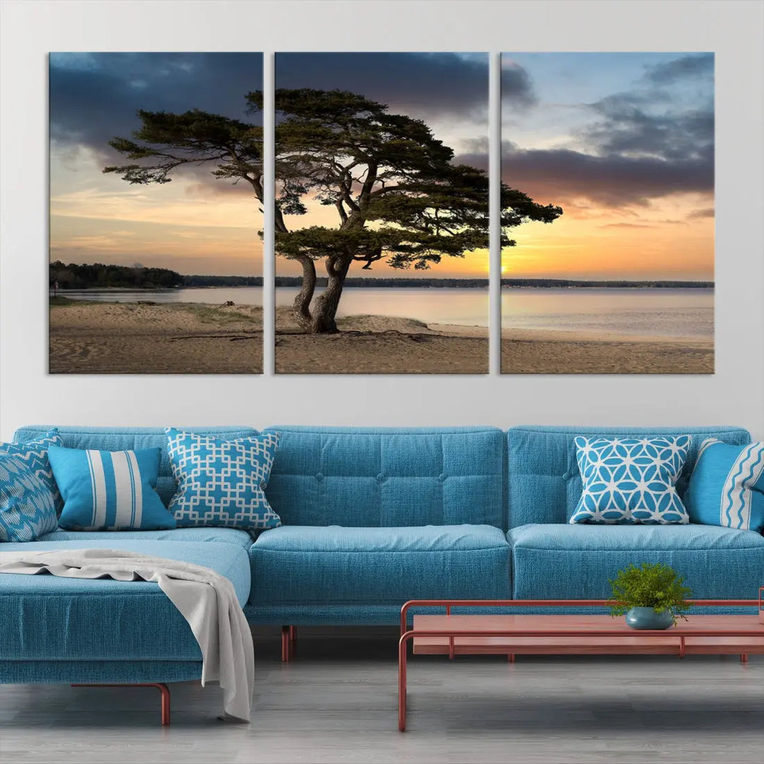 Big Tree Beach Coastal Sunset Wall Art Canvas Print Framed